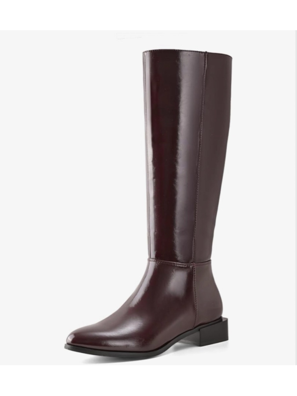 NEW Shoe'N Tale Chunky Low Heel Pointed Toe Winter Knee High Boots 8